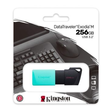 Kingston DataTraveler Exodia M 256GB USB 3.2 Gen 1 (DTXM/256GB)